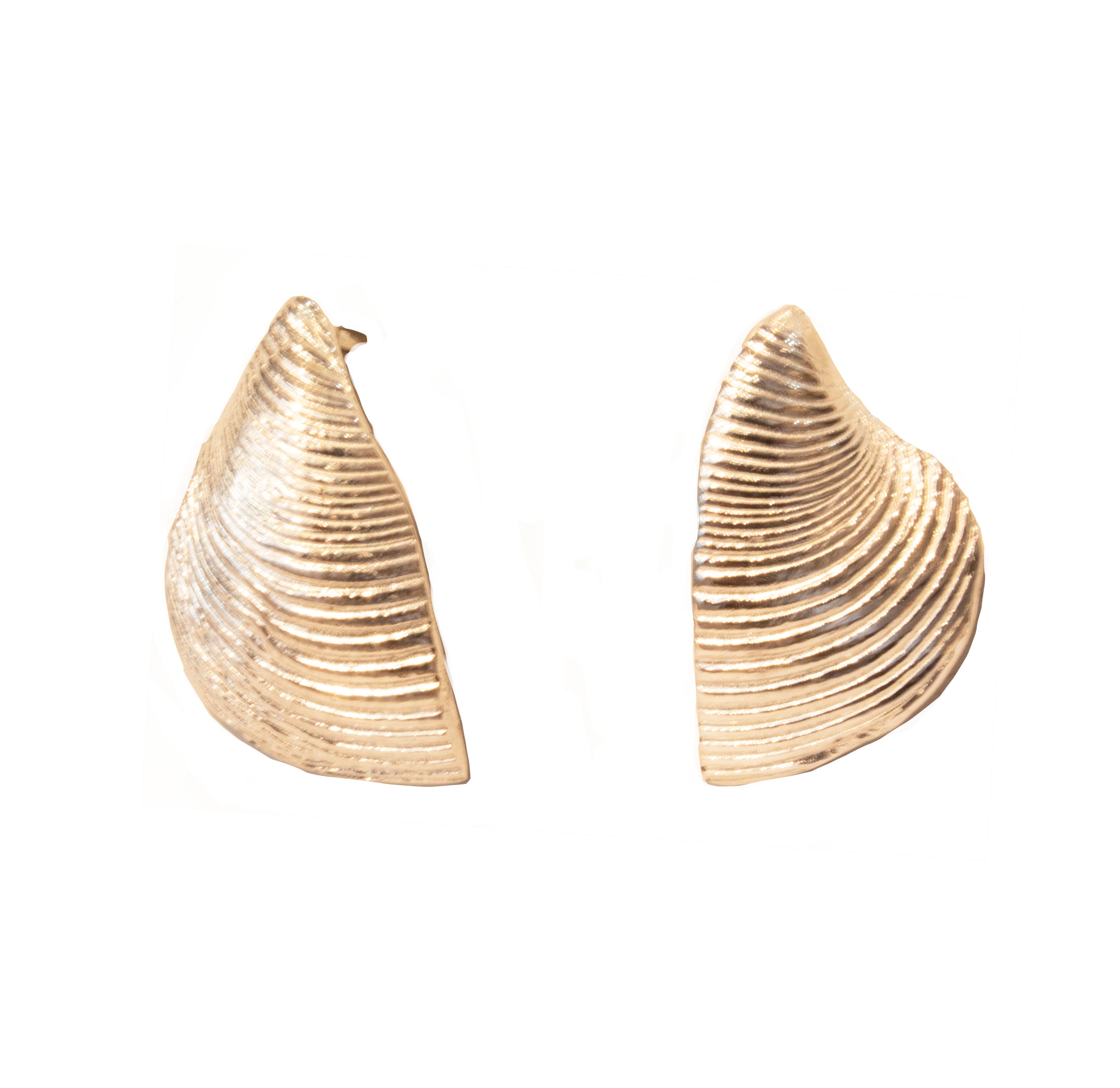 Shell Big Half Scallop Earrings
