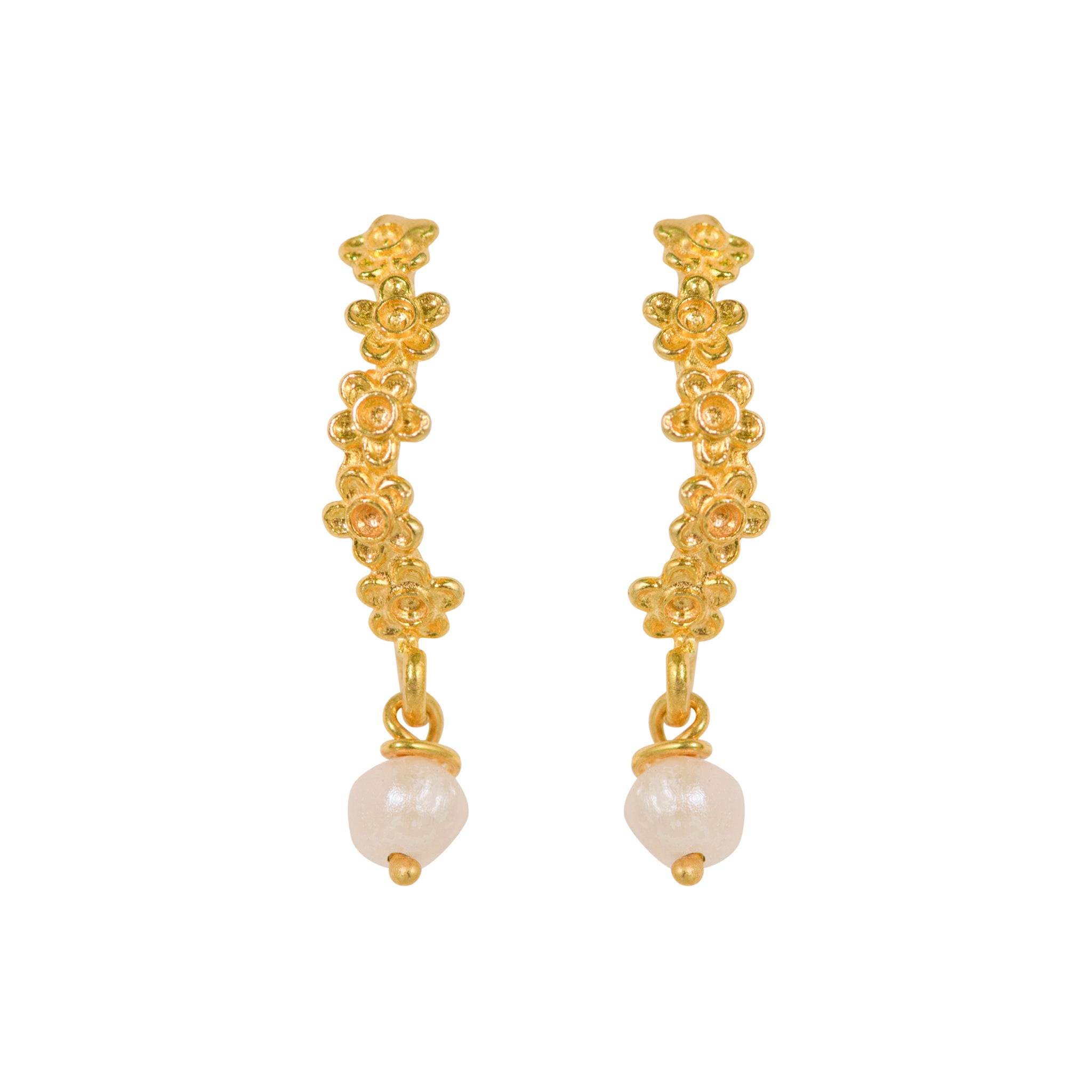 Flowers Daisies In Line With Pearl