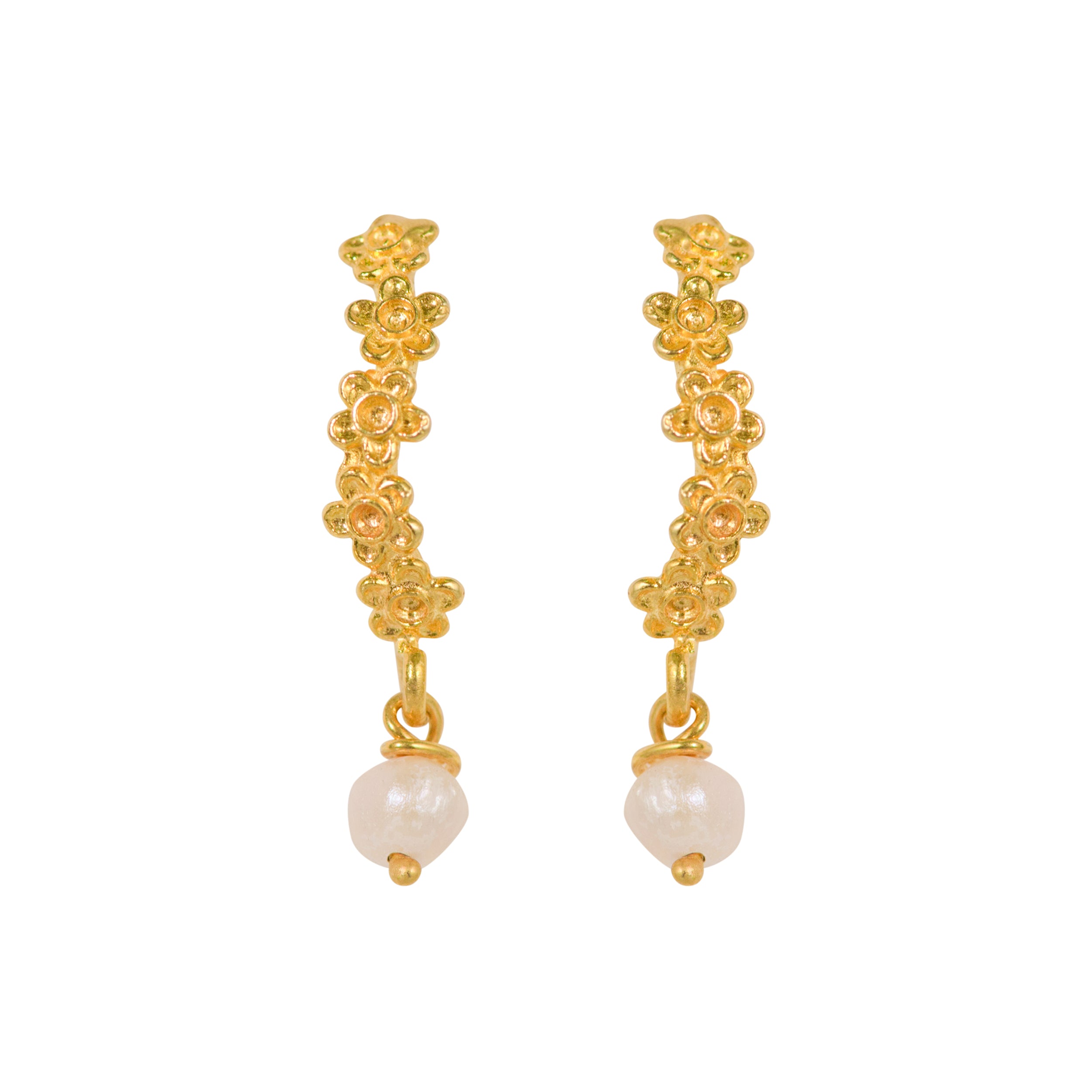 Flowers Daisies In Line With Pearl