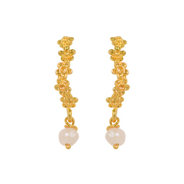 Flowers Daisies In Line With Pearl