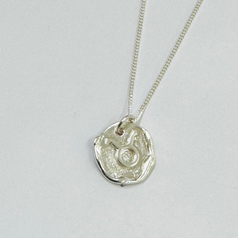 Zodiac Thin  Siver Chain Necklace
