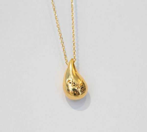 Lucky Charm The Drop Necklace 2024