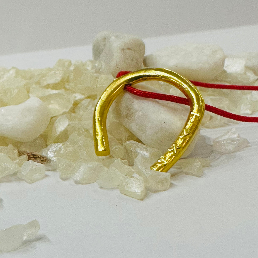 Lucky Charm Cord Necklace 2026