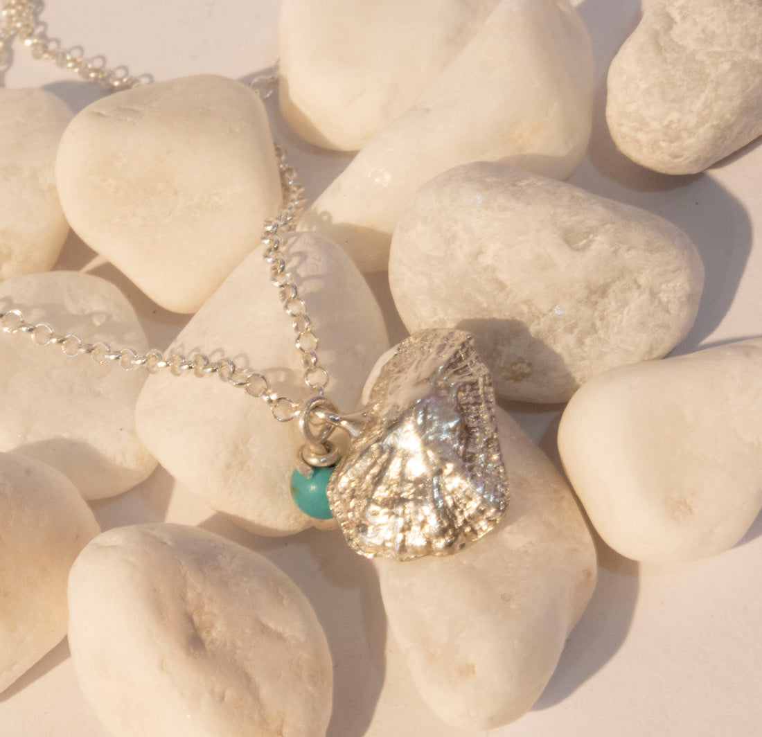 Shell Limpet Necklace