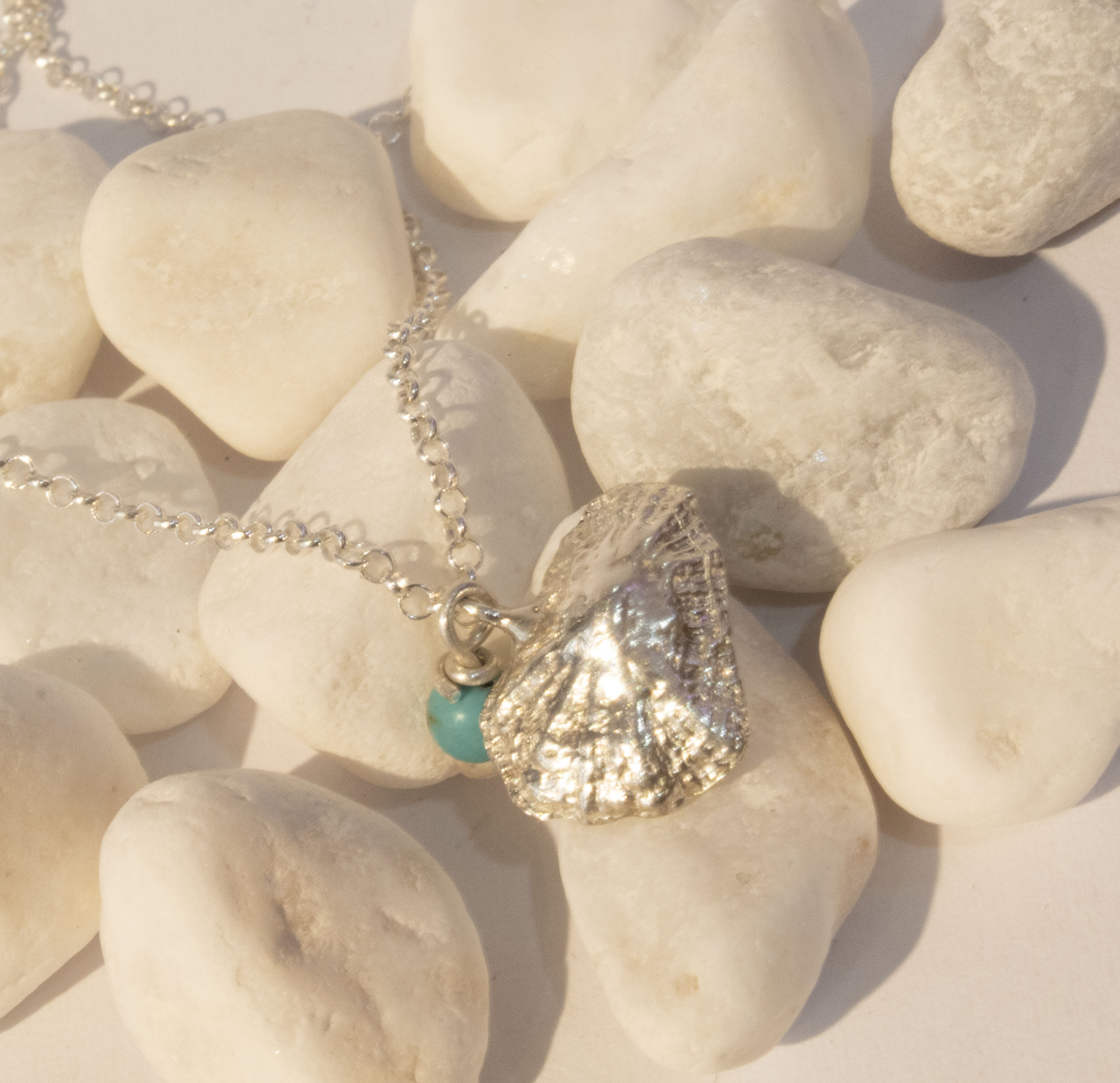 Shell Limpet Necklace