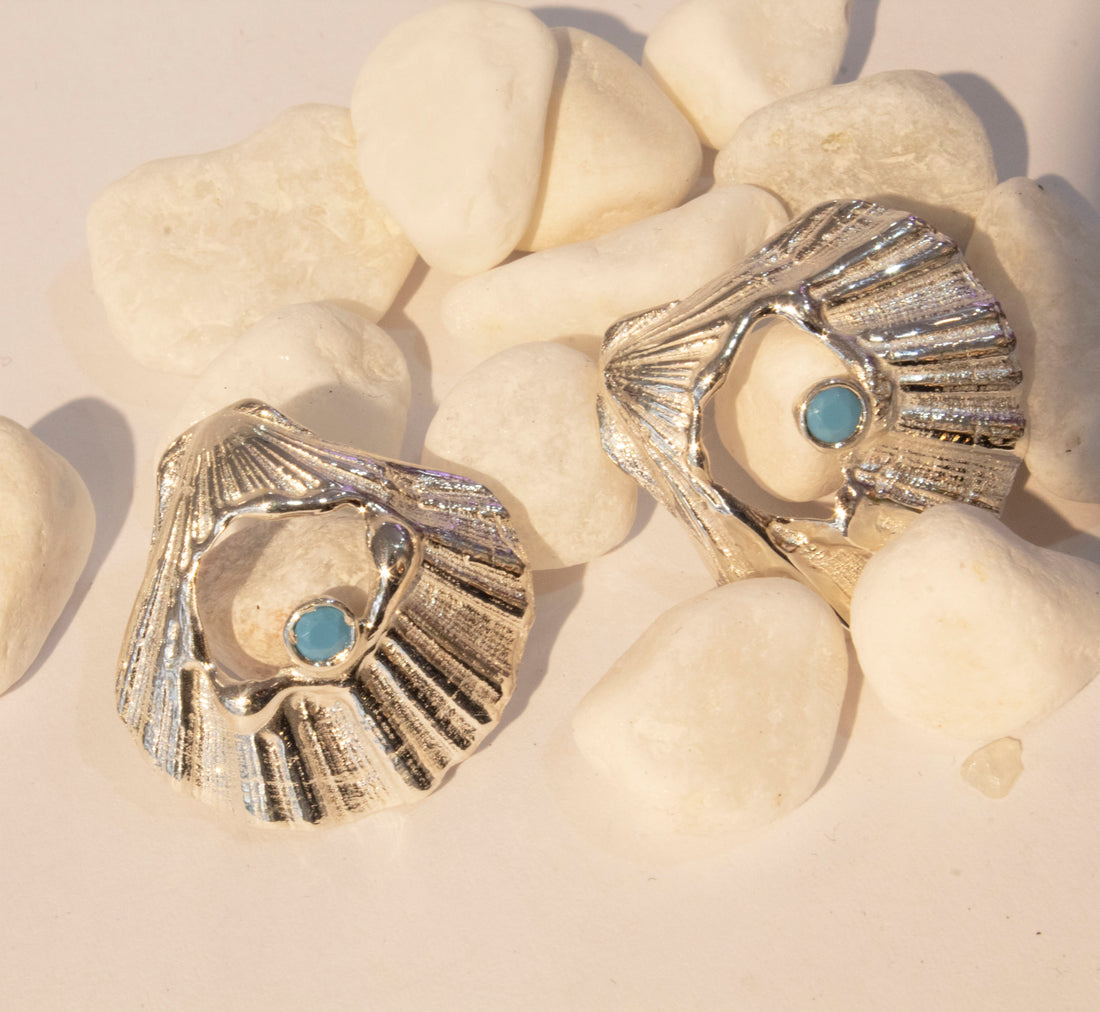 Shell Cookie Turquoise Earring
