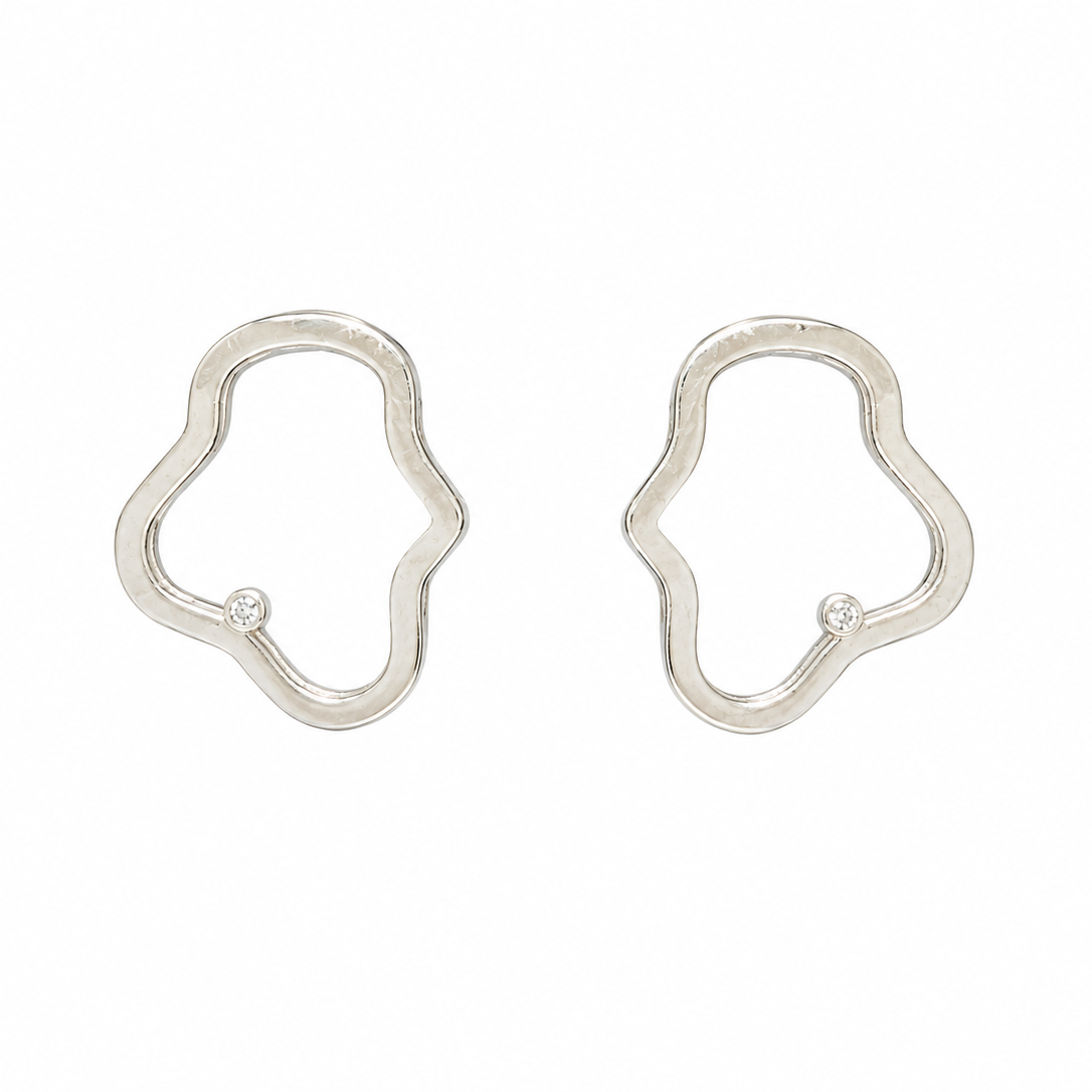 Pair of silver earrings on a white background