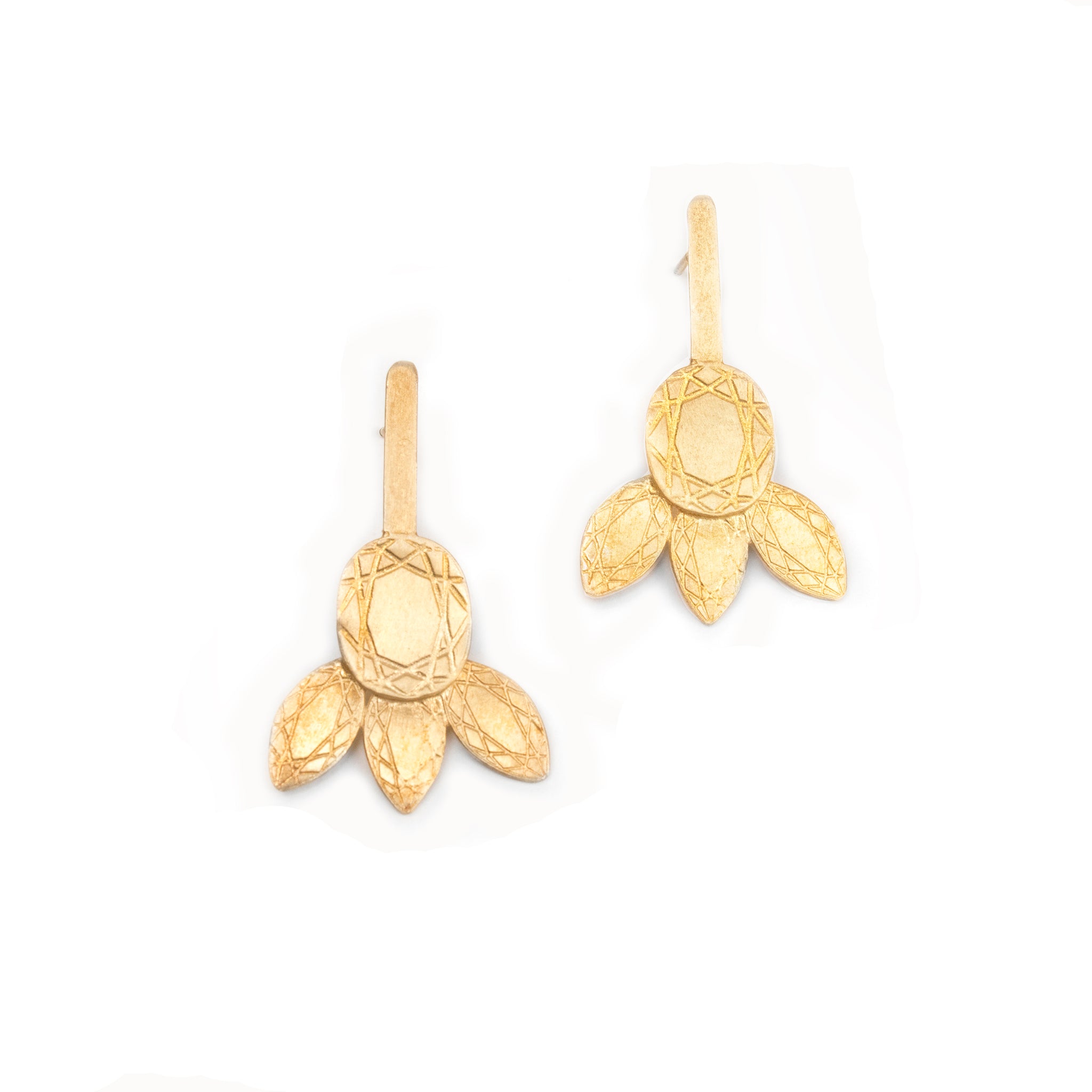 megala kremasta epixrisa skoularikia me fulla kai xarakseis