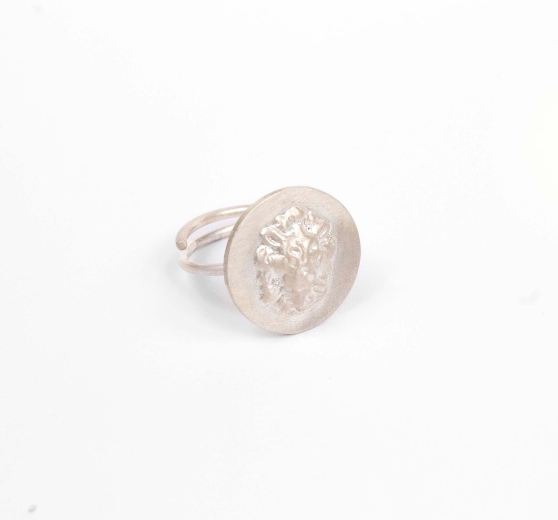 asimenio daxtilidi me liontari