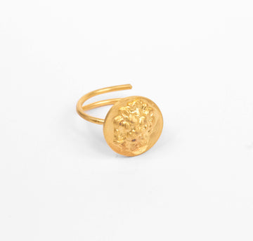 epixriso daxtilidi me liontari