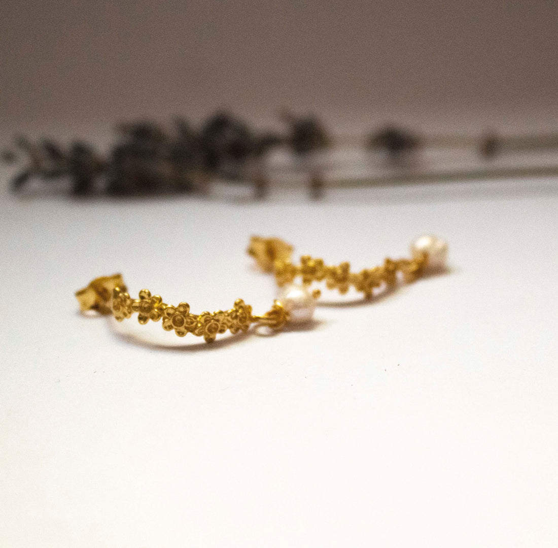 Flowers Daisies In Line With Pearl