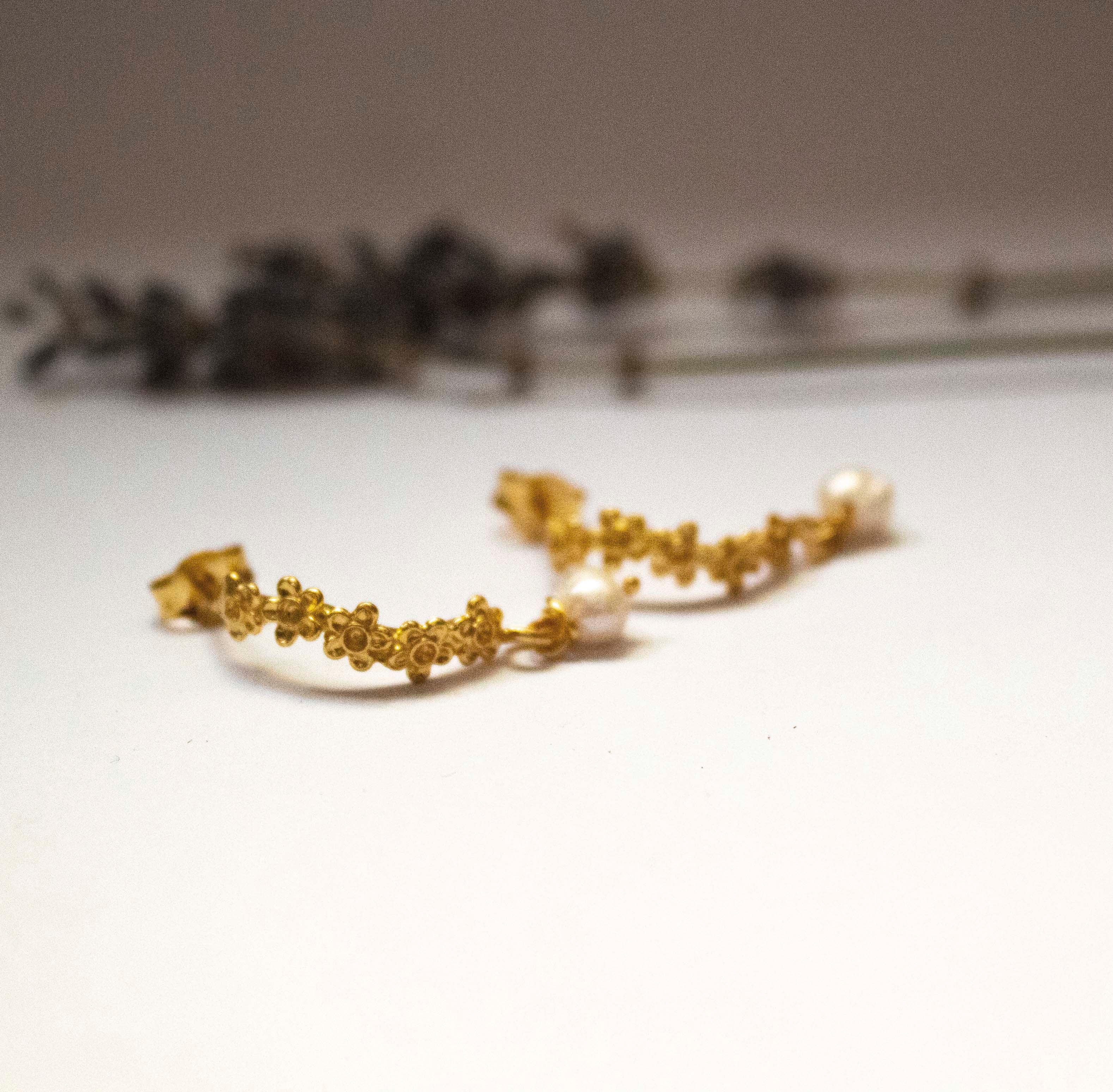 Flowers Daisies In Line With Pearl